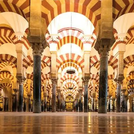 Appartement Estudio Acogedor Cercano A Mezquita *